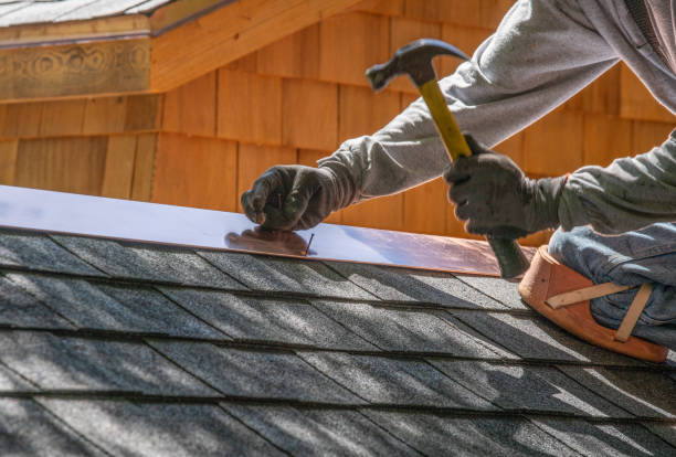 Best Roof Moss and Algae Removal  in Tekamah, NE
