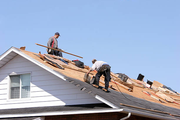 Roof Coating Services in Tekamah, NE